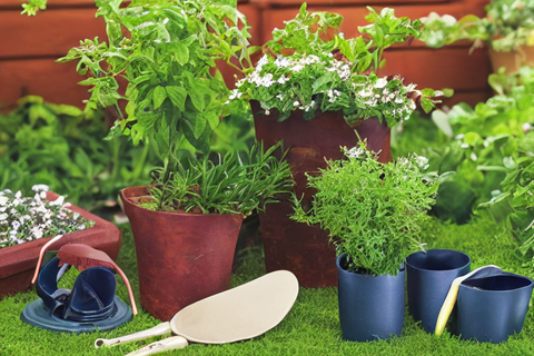 Dad Gardening Gift Ideas