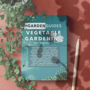 Vegetable gardening mockup