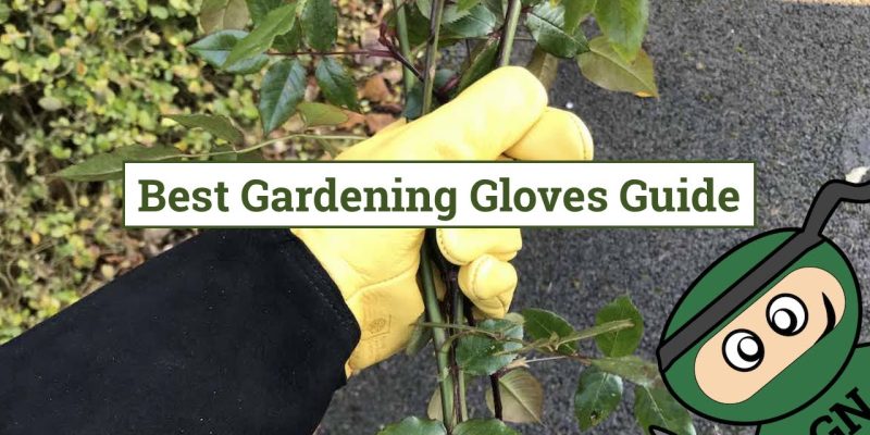 Finding the Right Gardening Gloves