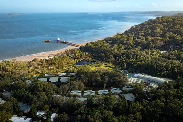 Viajar a Isla Fraser, Queensland, Australia: Qué Ver y Dónde Alojarse