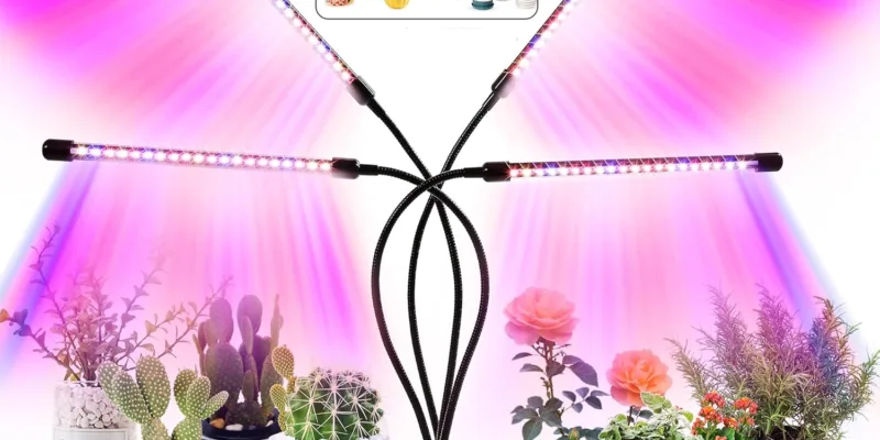 090520251746805370