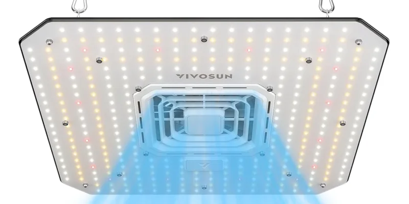 090520251746805435