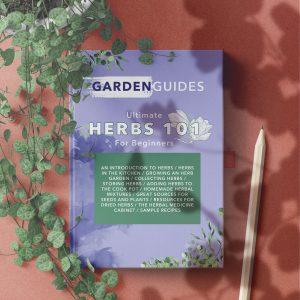 Herbs 101 Mockup