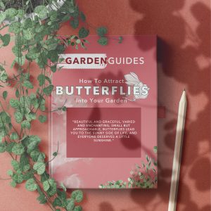 How to Attract butterflies mockup